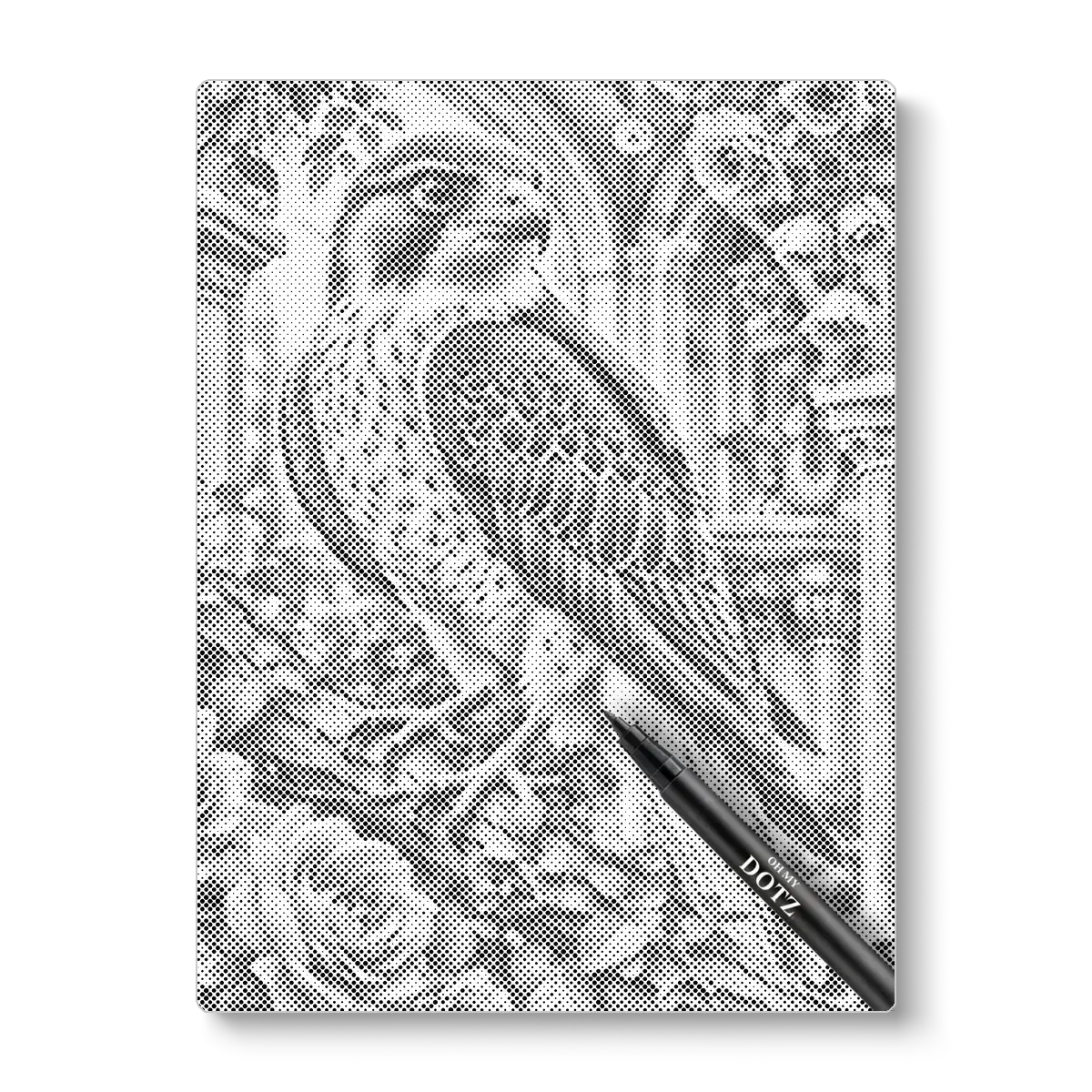 Çiçekler Üzerinde Şahin | Dot Painting